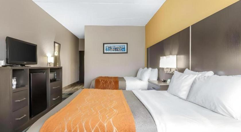 Comfort Inn Cleveland Airport Middleburg Heights Exterior photo