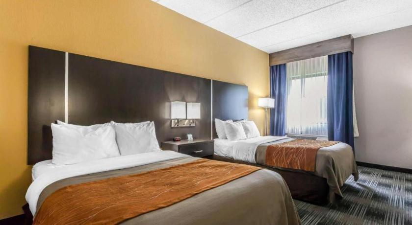 Comfort Inn Cleveland Airport Middleburg Heights Exterior photo