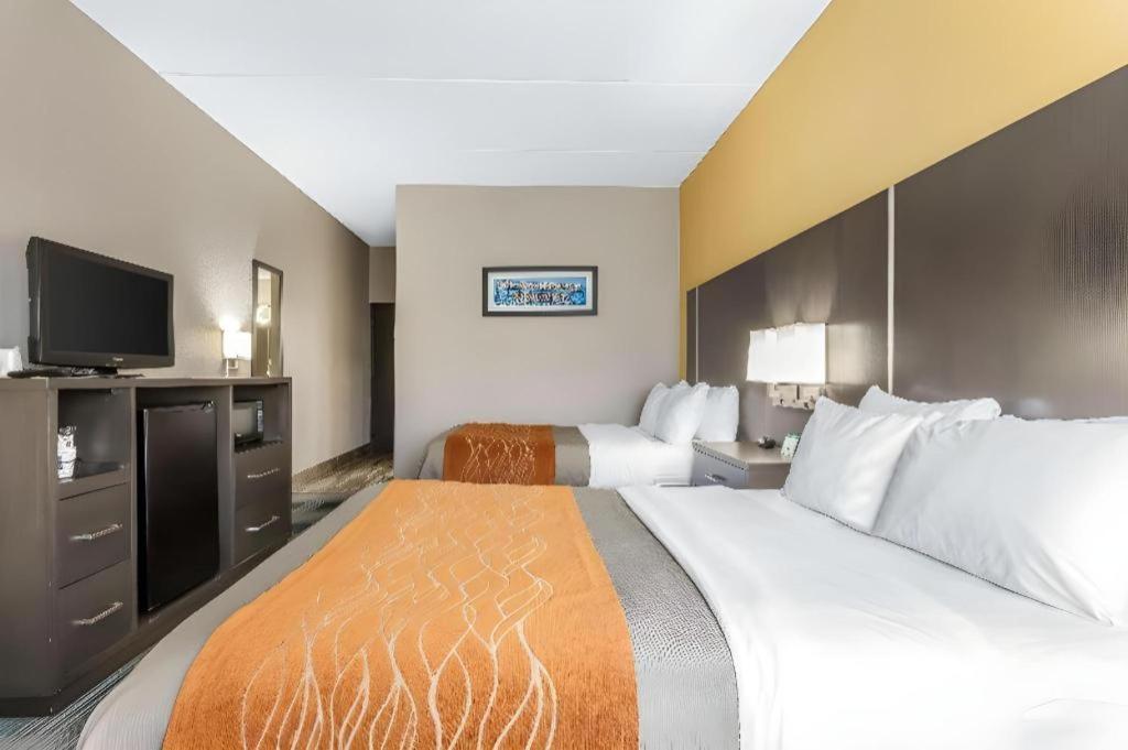 Comfort Inn Cleveland Airport Middleburg Heights Exterior photo
